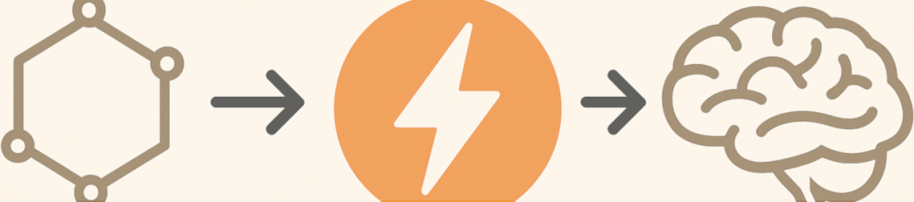 Glukose, Energie und das Gehirn